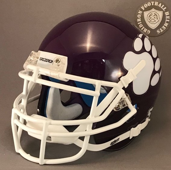 Sevier County Bears High School 2018 (TN)